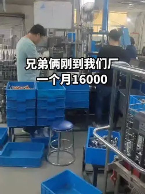 手足同心筑夢廠區(qū)，兄弟合力點亮人生